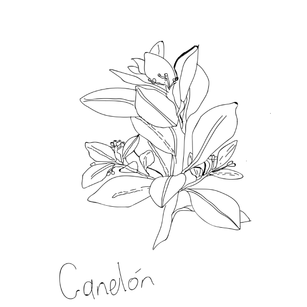 canelon